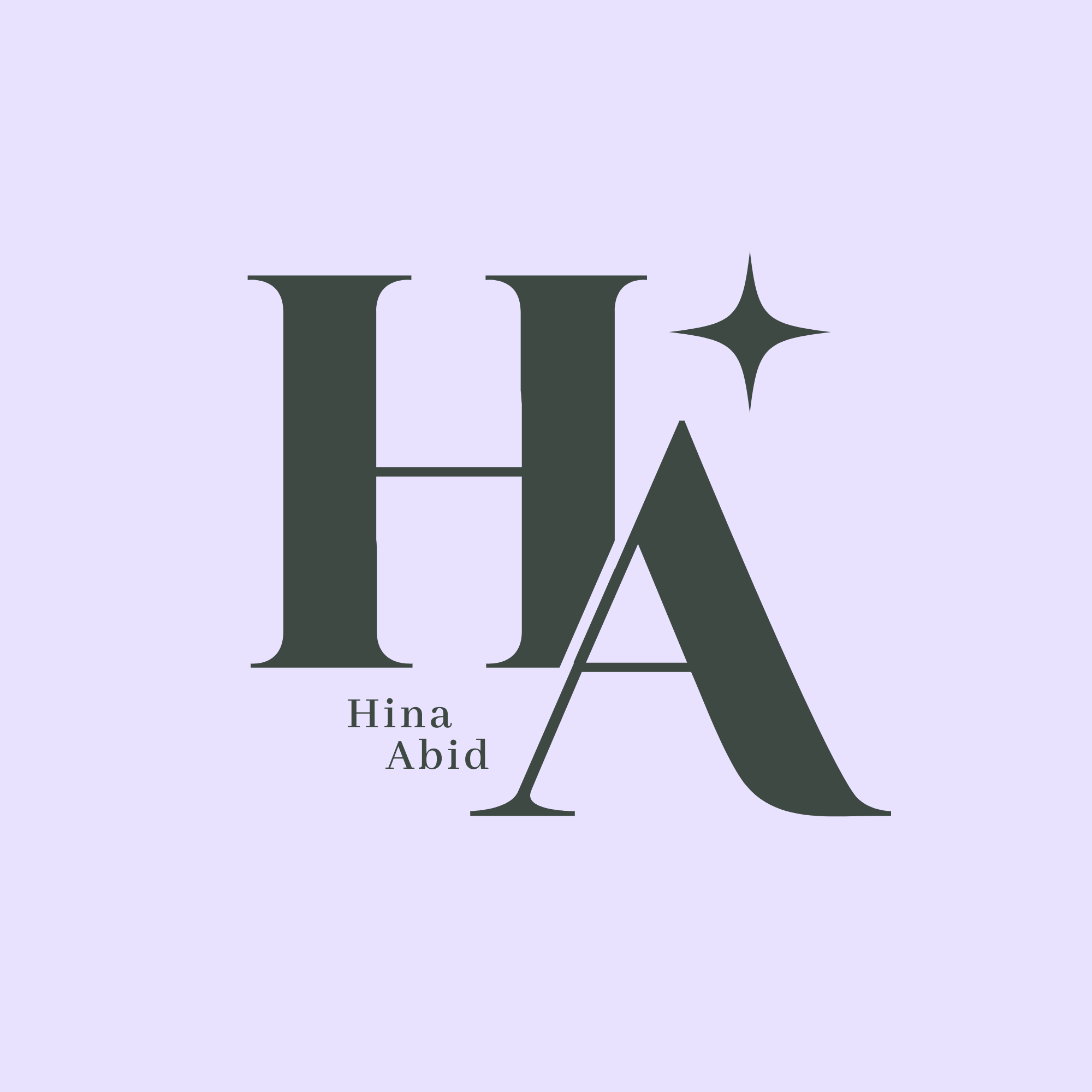 portfolio.hinaabid.com